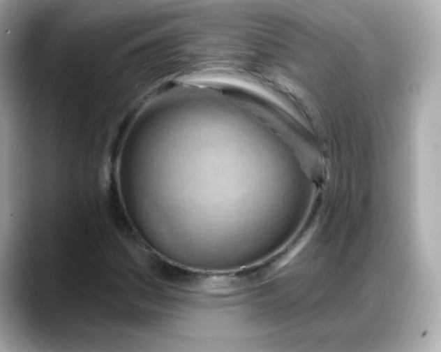 X0000088381161200706051054
