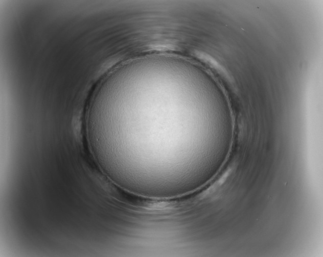 X0000088381162200706051054
