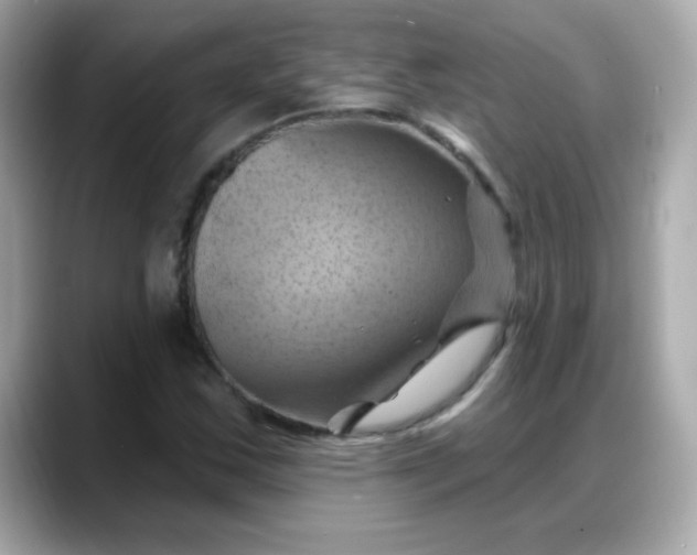 X0000088381163200706051054