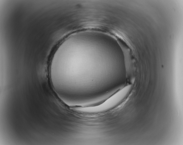 X0000088381164200706051054