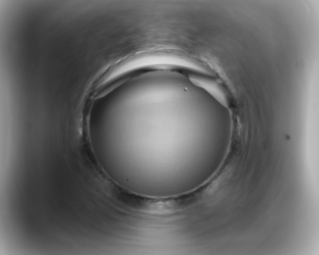 X0000088381165200706051054