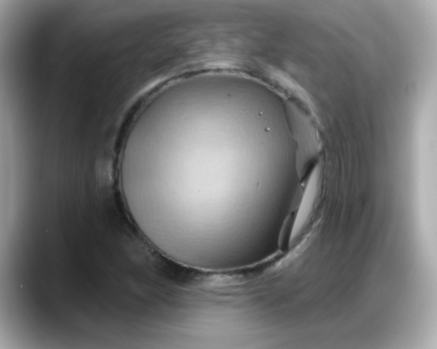 X0000088381166200706051054