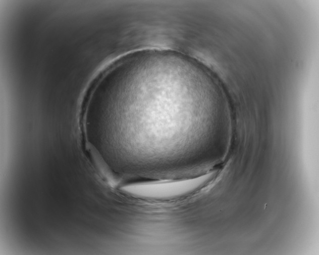 X0000088381168200706051054