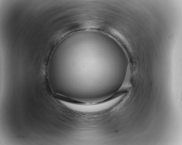 X0000088381169200706051054