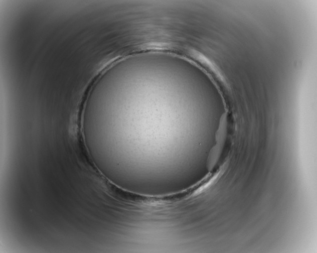 X0000088381170200706051054