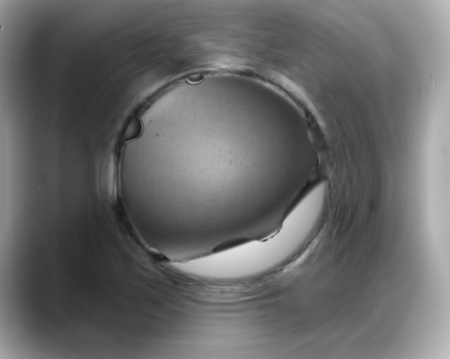 X0000088381171200706051054