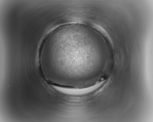 X0000088381172200706051054