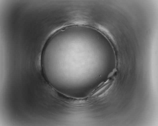 X0000088381174200706051054