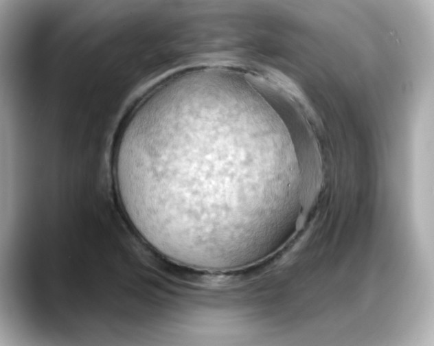 X0000088381176200706051054