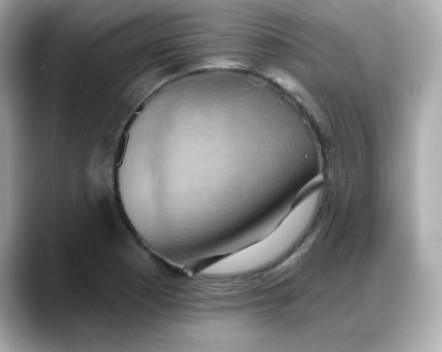X0000088381177200706051054