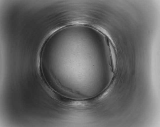 X0000088381179200706051054