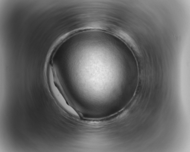 X0000088381180200706051054