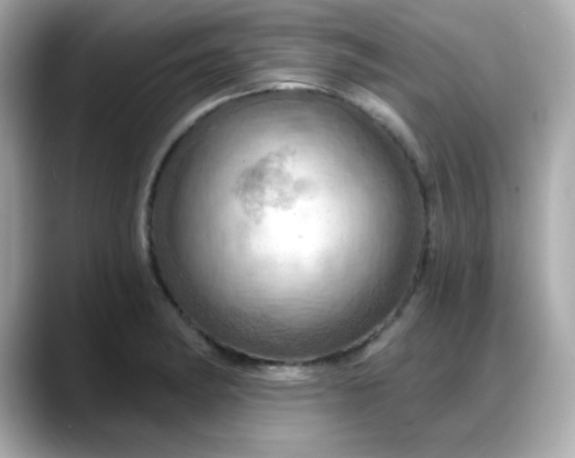 X0000088381182200706051054