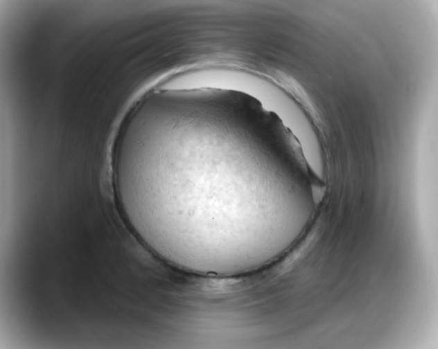 X0000088381184200706051054