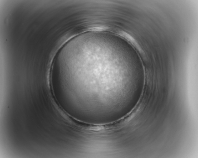 X0000088381186200706051054