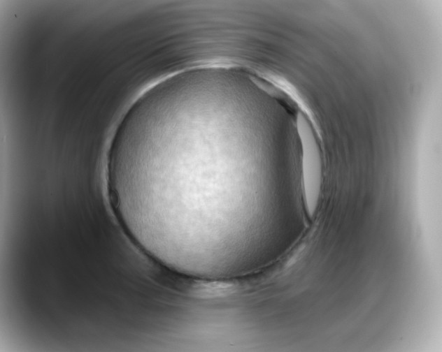 X0000088381187200706051054