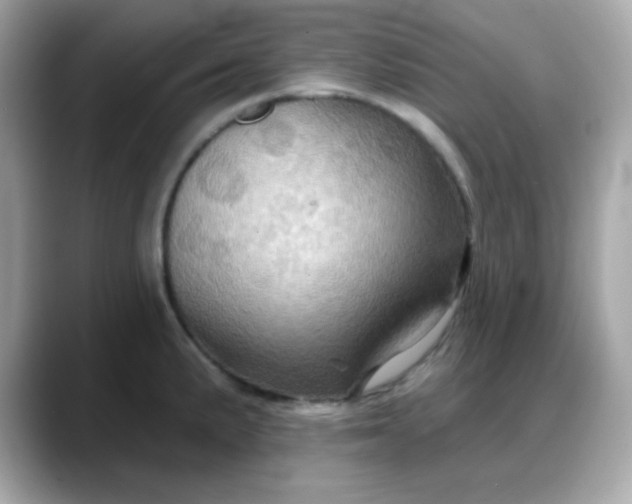 X0000088381191200706051054
