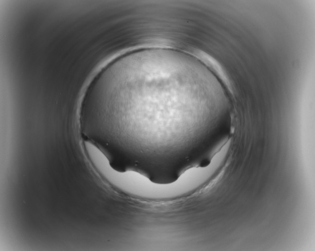 X0000088381192200706051054