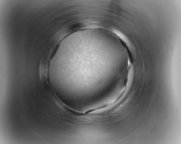 X0000088381193200706051054