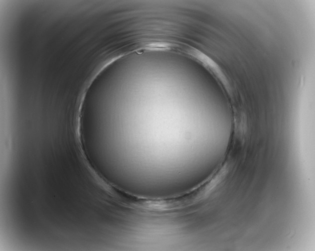 X0000088381194200706051054