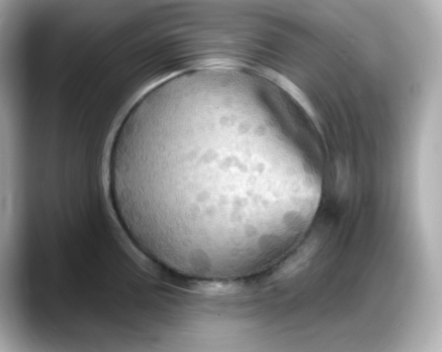 X0000088381195200706051054