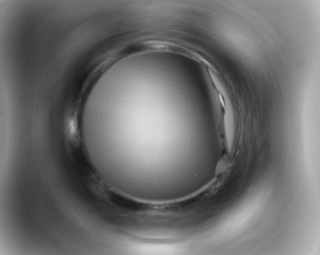 X0000088381198200706051054