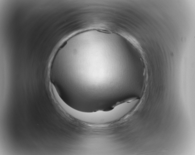 X0000088381200200706051054