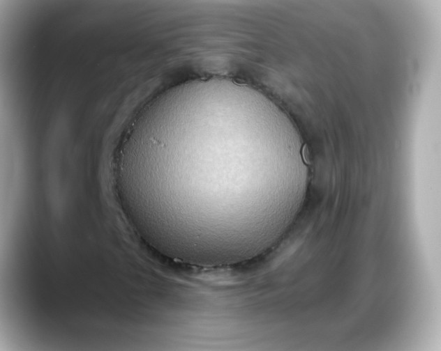 X0000088381201200706051053