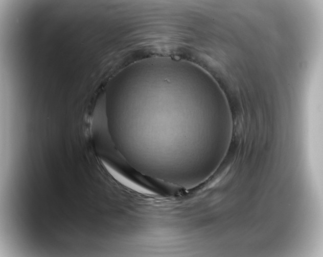 X0000088381202200706051053