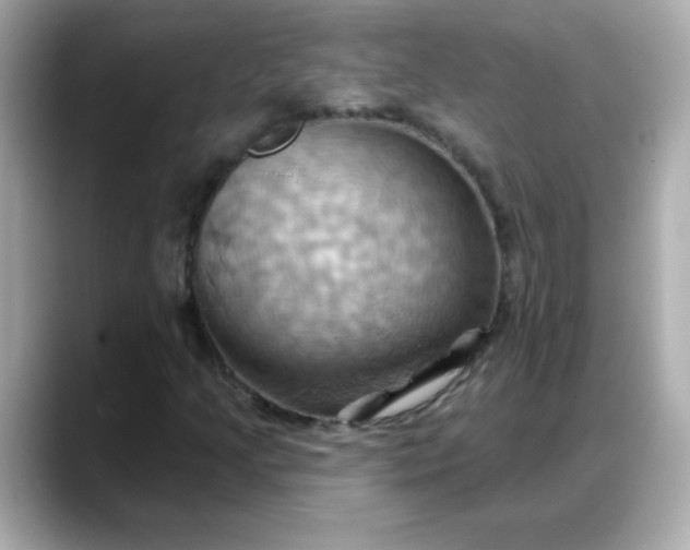 X0000088381205200706051053