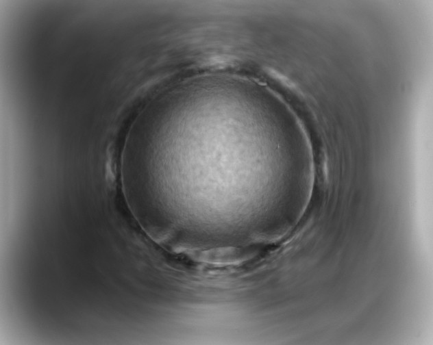 X0000088381206200706051053