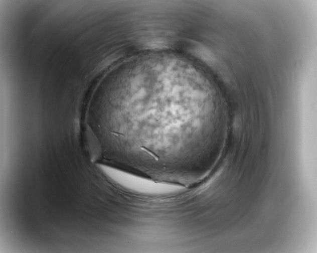 X0000088381209200706051053