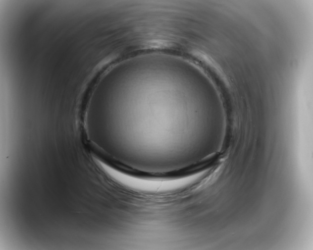X0000088381210200706051053