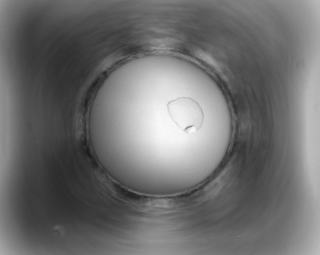 X0000088381211200706051053