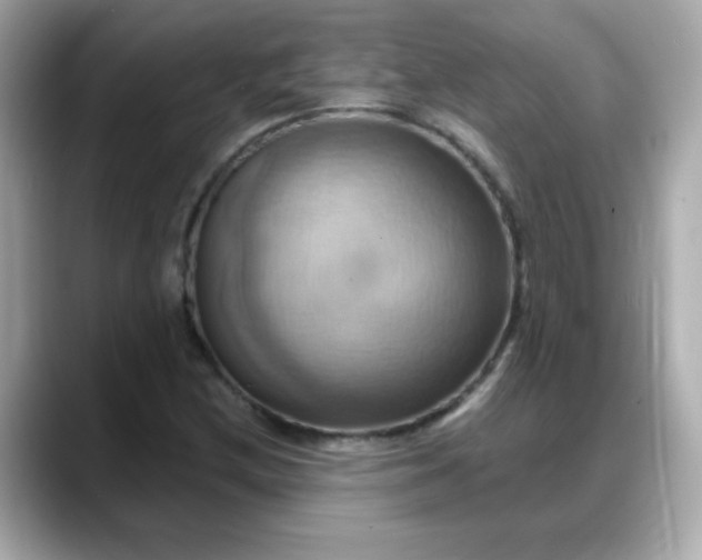 X0000088381212200706051053