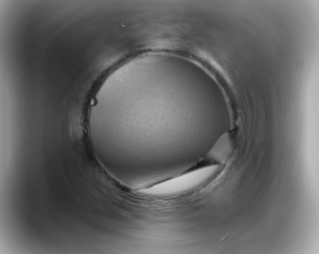 X0000088381213200706051053