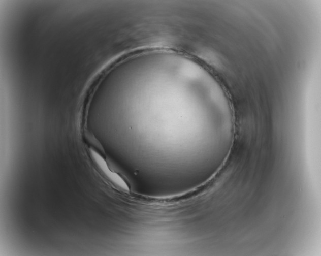 X0000088381216200706051053