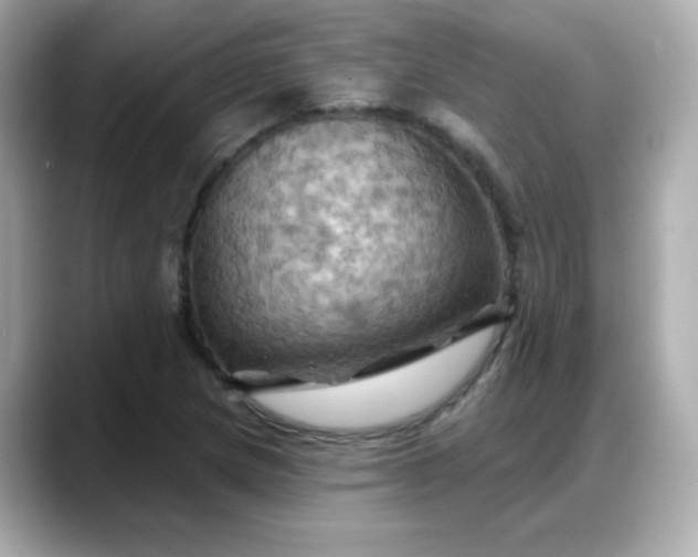 X0000088381217200706051053