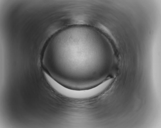 X0000088381218200706051053