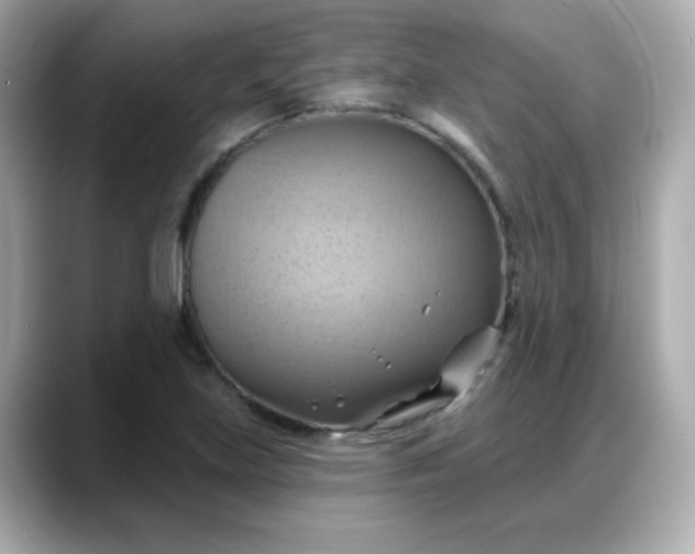 X0000088381219200706051053