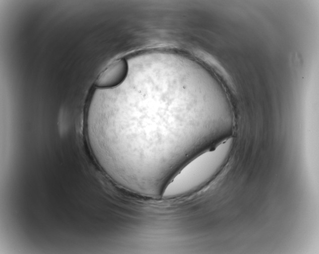 X0000088381220200706051053