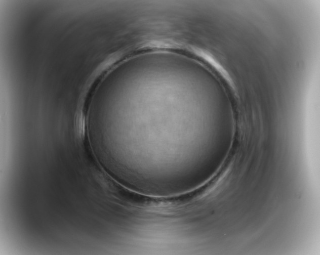 X0000088381221200706051053