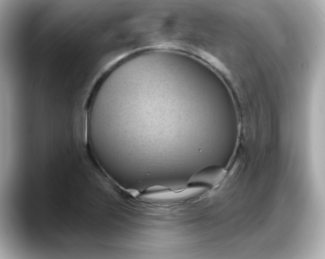 X0000088381223200706051053