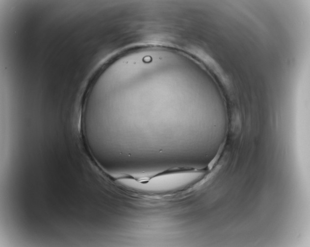 X0000088381224200706051053