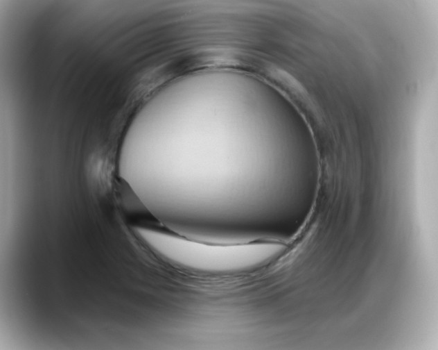 X0000088381225200706051053