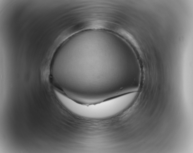 X0000088381226200706051053