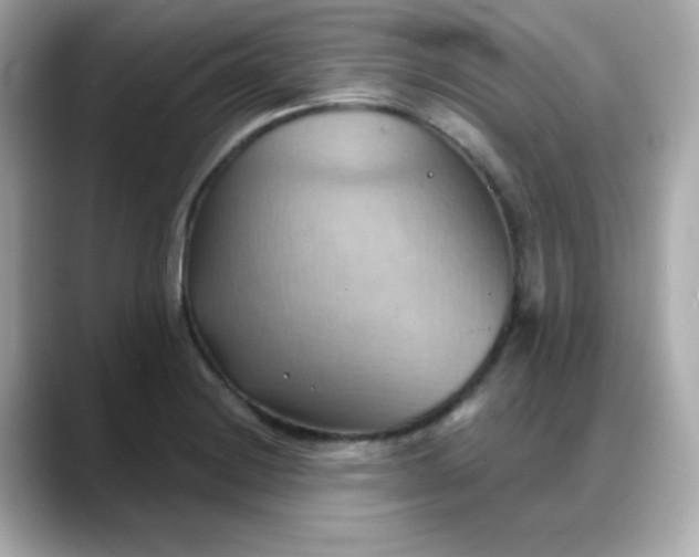 X0000088381228200706051053