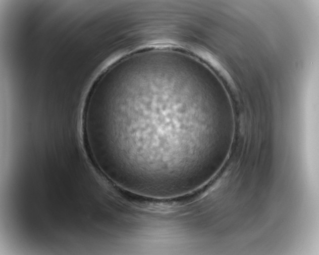 X0000088381229200706051053