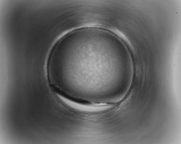 X0000088381230200706051053