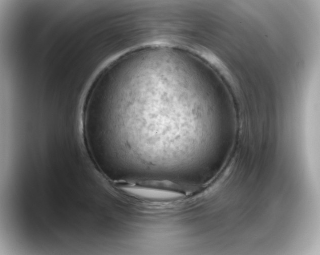 X0000088381232200706051054